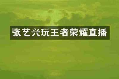 张艺兴玩王者荣耀直播