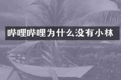 哔哩哔哩为什么没有小林