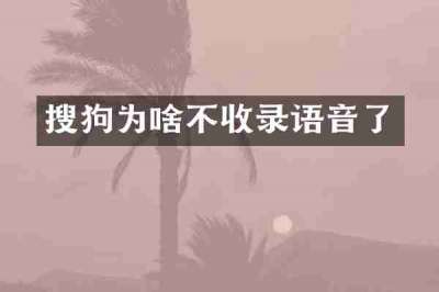 搜狗为啥不收录语音了