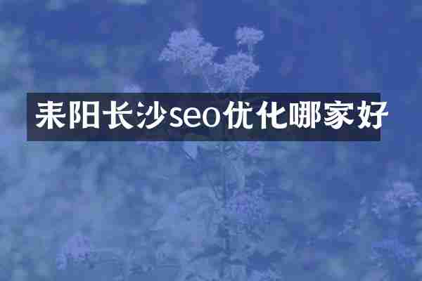 耒阳长沙seo优化哪家好