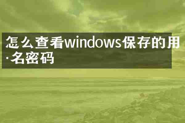 怎么查看windows保存的用户名密码