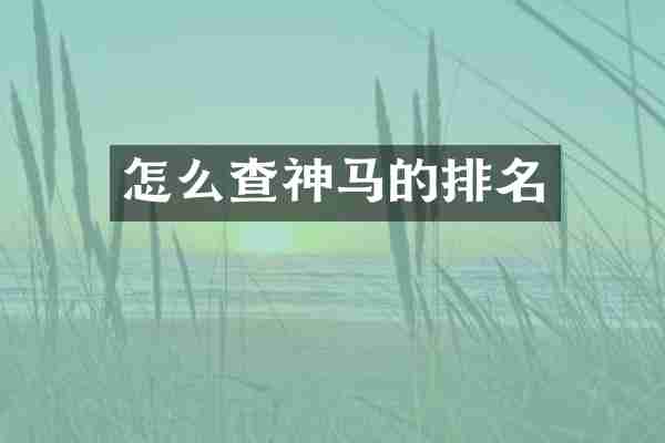 怎么查神马的排名
