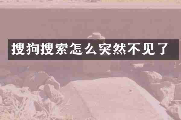 搜狗搜索怎么突然不见了