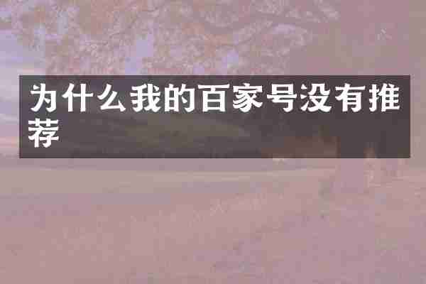 为什么我的百家号没有推荐