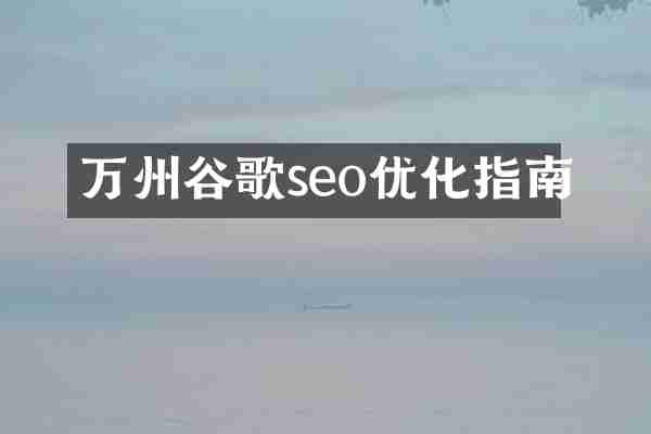 万州谷歌seo优化指南