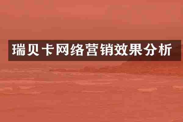 瑞贝卡网络营销效果分析