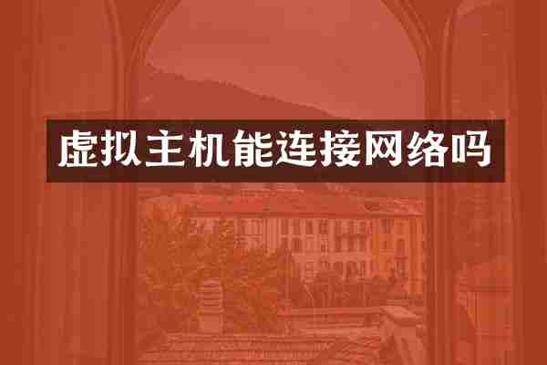 虚拟主机能连接网络吗