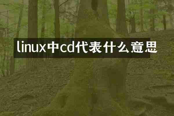 linux中cd代表什么意思