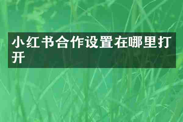 小红书合作设置在哪里打开