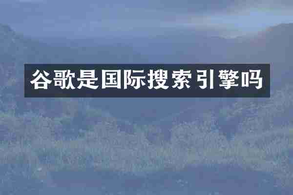 谷歌是国际搜索引擎吗