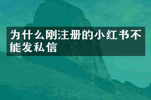 为什么刚注册的小红书不能发私信