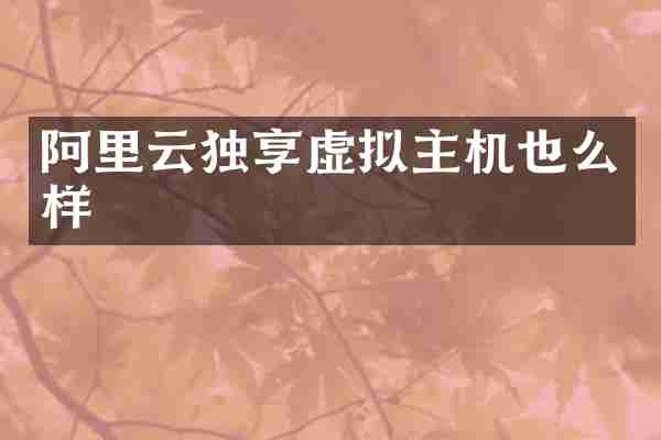 阿里云独享虚拟主机也么样