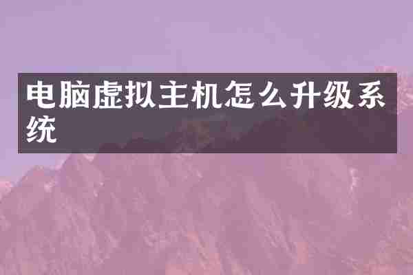 电脑虚拟主机怎么升级系统