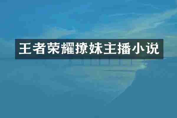 王者荣耀撩妹主播小说