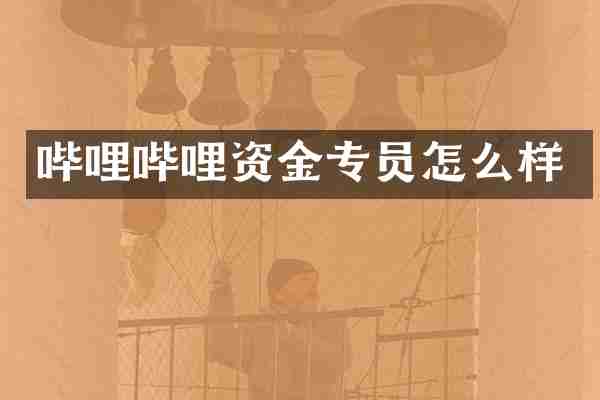 哔哩哔哩资金专员怎么样