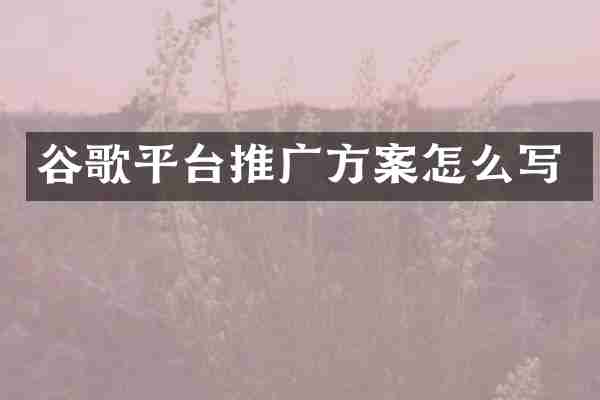 谷歌平台推广方案怎么写
