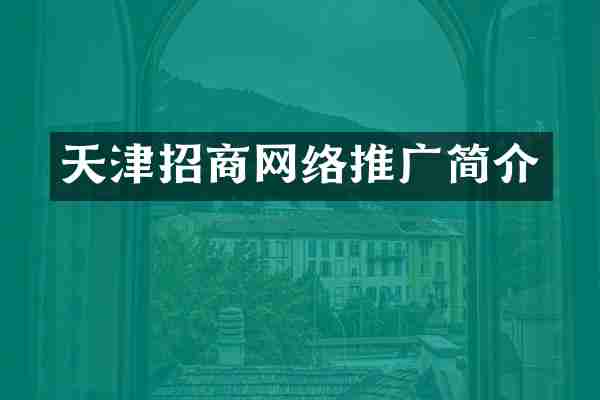 天津招商网络推广简介