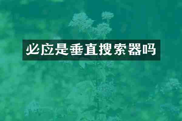 必应是垂直搜索器吗