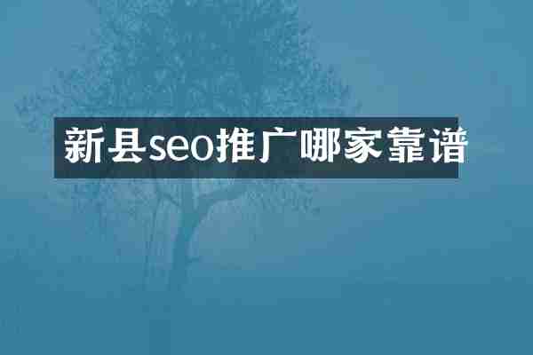 新县seo推广哪家靠谱