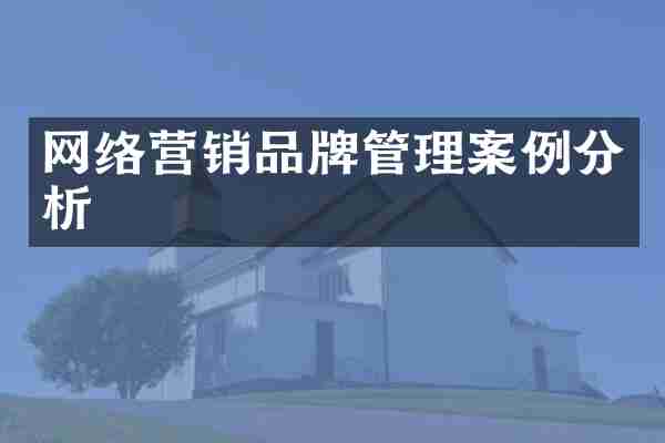 网络营销品牌管理案例分析