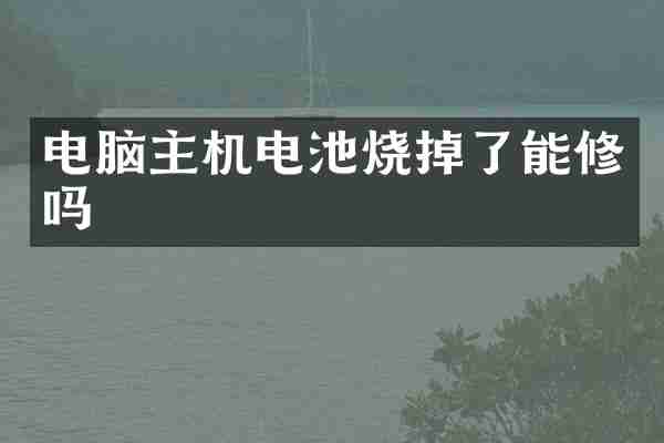 电脑主机电池烧掉了能修吗