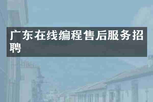 广东在线编程售后服务招聘