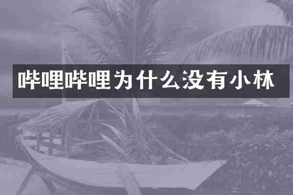 哔哩哔哩为什么没有小林