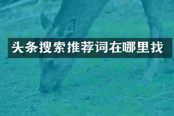 头条搜索推荐词在哪里找