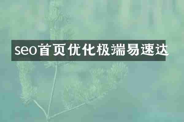 seo首页优化极端易速达