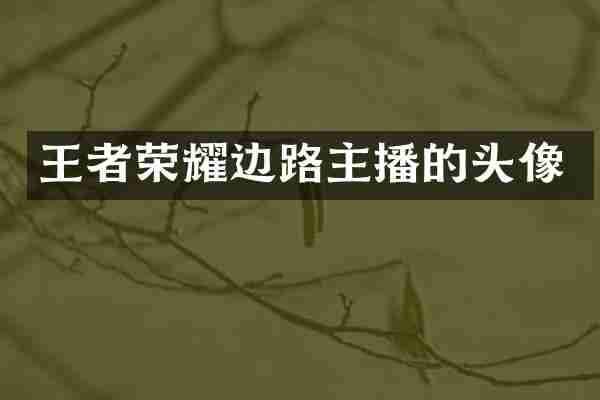 王者荣耀边路主播的头像