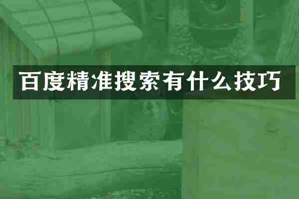 百度精准搜索有什么技巧