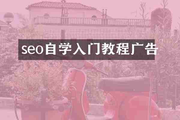 seo自学入门教程广告