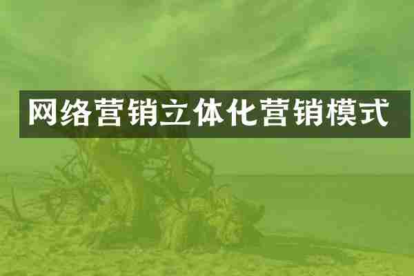 网络营销立体化营销模式