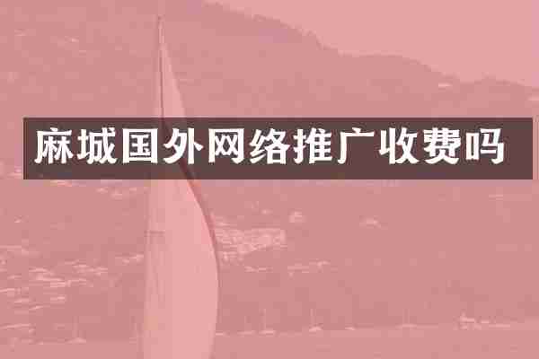 麻城国外网络推广收费吗