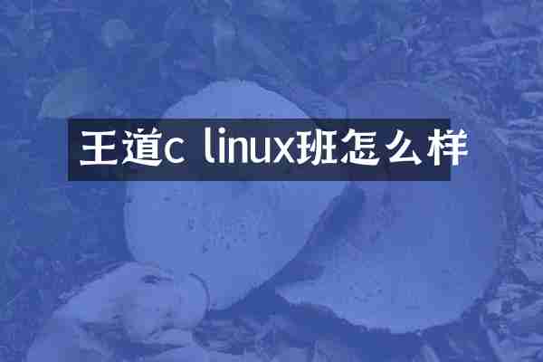 王道c linux班怎么样