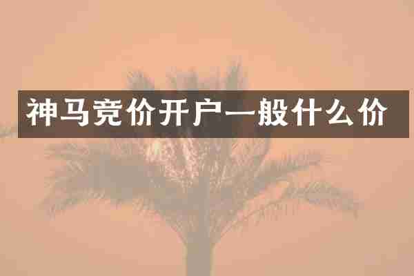 神马竞价开户一般什么价