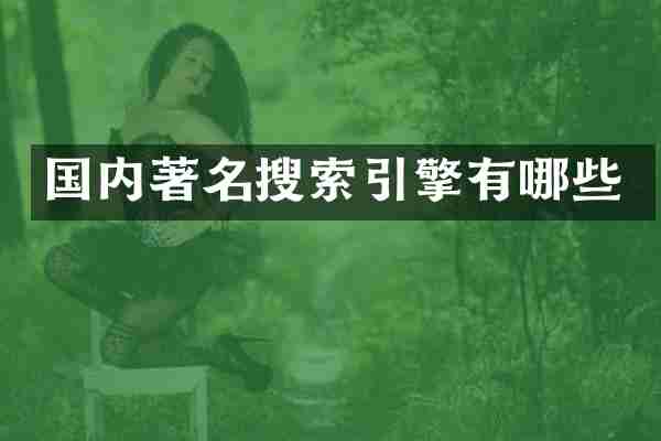 国内著名搜索引擎有哪些