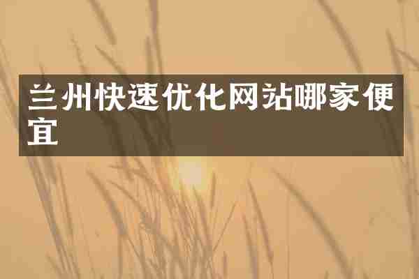 兰州快速优化网站哪家便宜