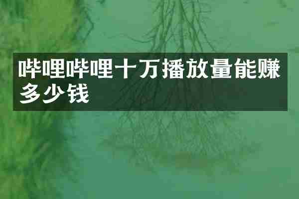 哔哩哔哩十万播放量能赚多少钱