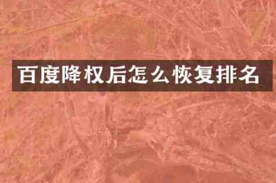 百度降权后怎么恢复排名