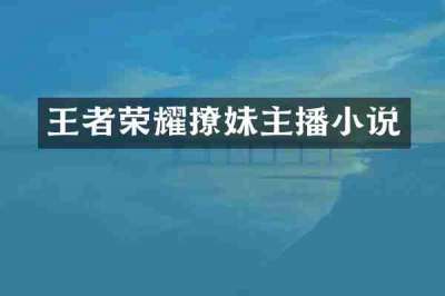 王者荣耀撩妹主播小说