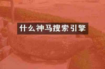 什么神马搜索引擎