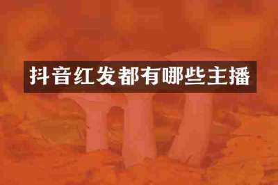 抖音红发都有哪些主播