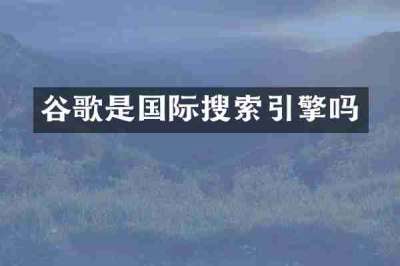谷歌是国际搜索引擎吗