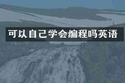 可以自己学会编程吗英语