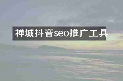 禅城抖音seo推广工具