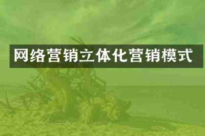 网络营销立体化营销模式