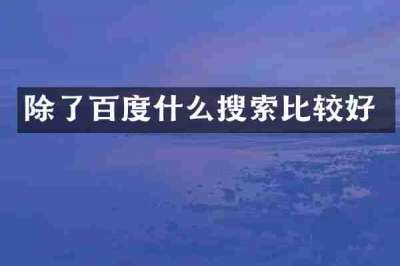 除了百度什么搜索比较好