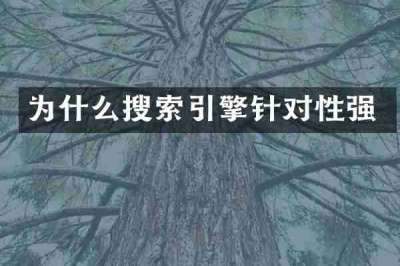 为什么搜索引擎针对性强