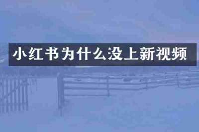 小红书为什么没上新视频